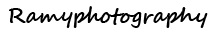 Affordable Wedding Photographers in Metro Detroit